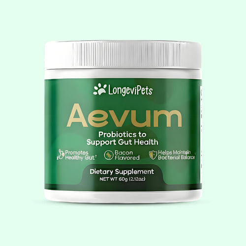 Aevum Probiotic / Longevity Support
